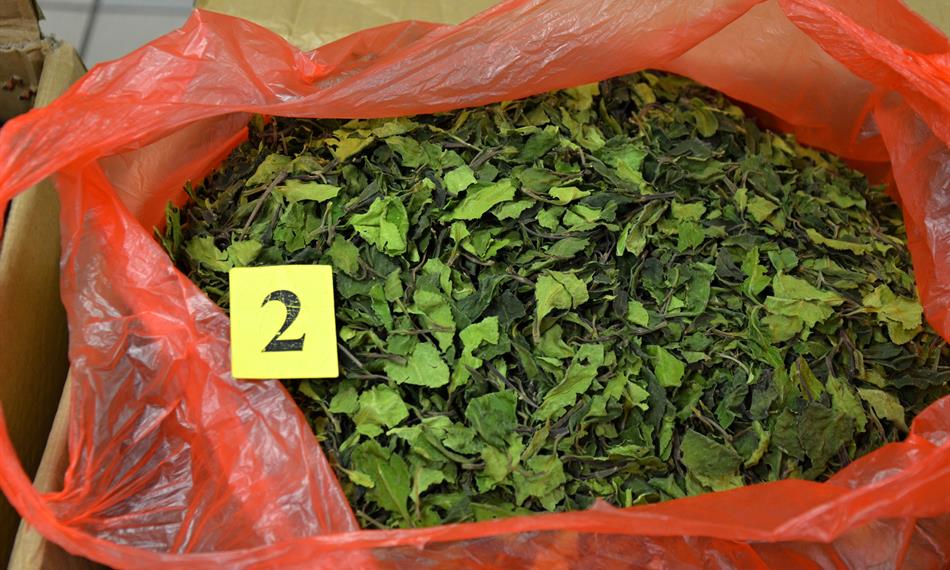 2019-1-3-83foto 4.jpg